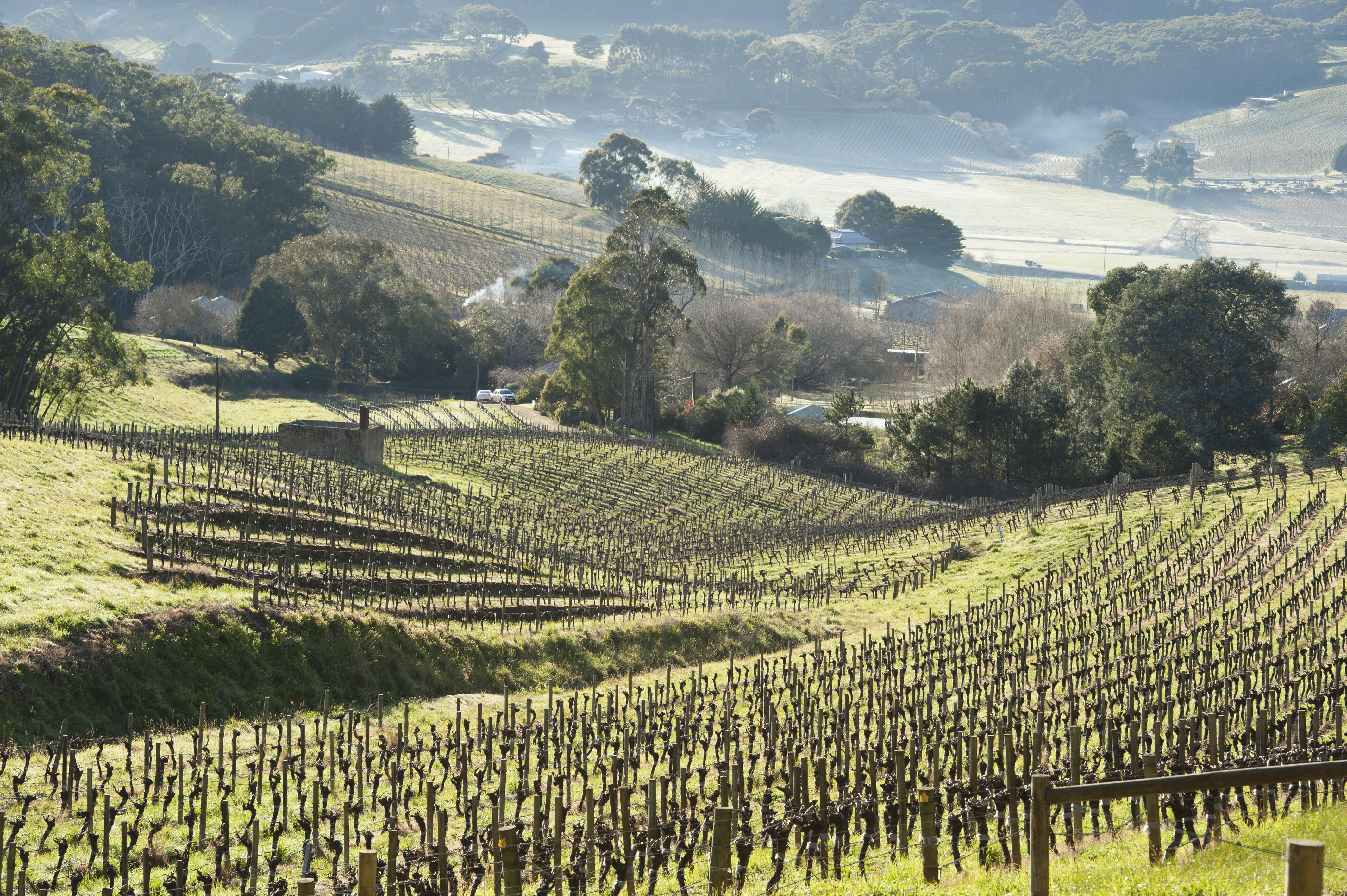 Adelaide Hills Wine Region